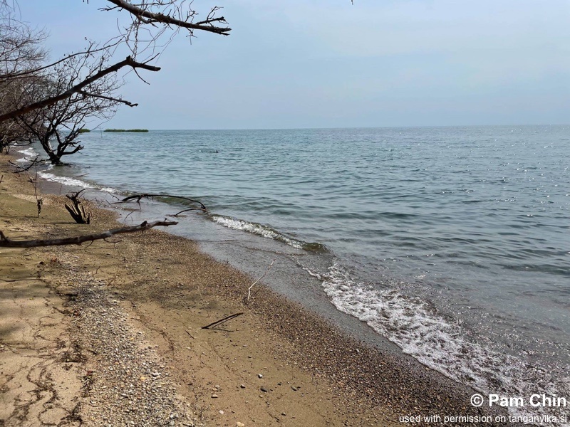 Mahale Mountains National Park 04